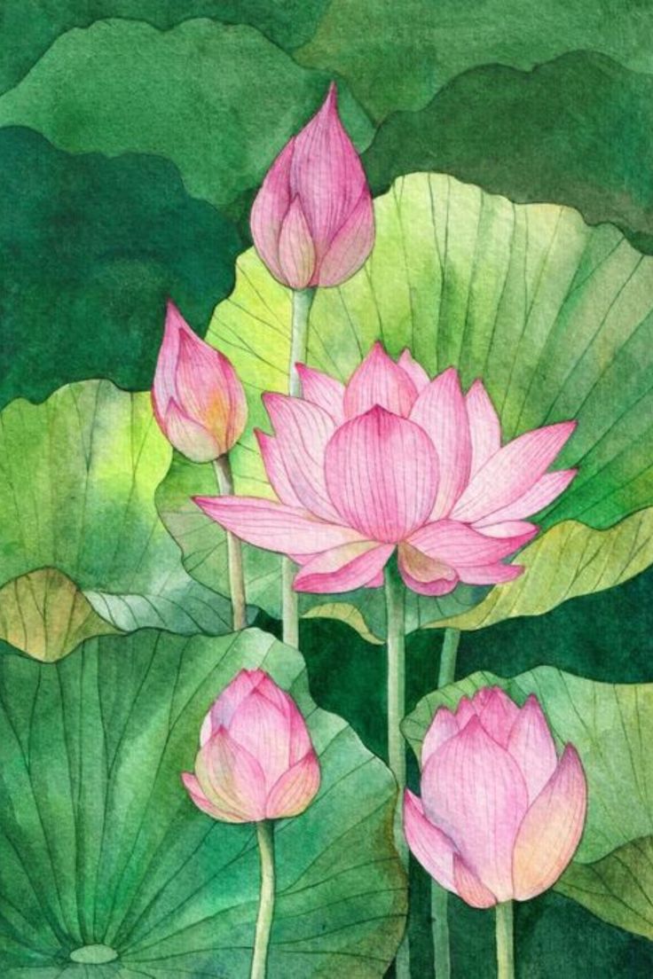 watercolor painting of pink lotus flowers and green leaves in the pond by artist susan grisby