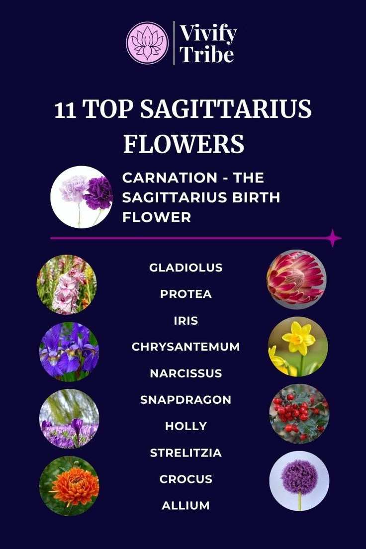 the top sagittarius flowers are shown in this poster