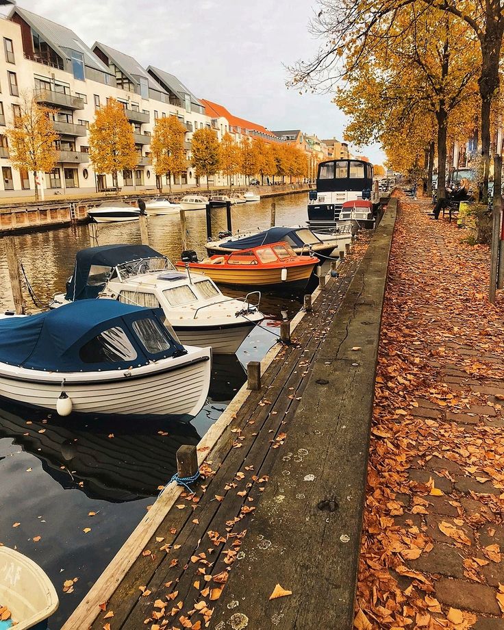 several boats are docked in the water next to some buildings and leaves on the ground