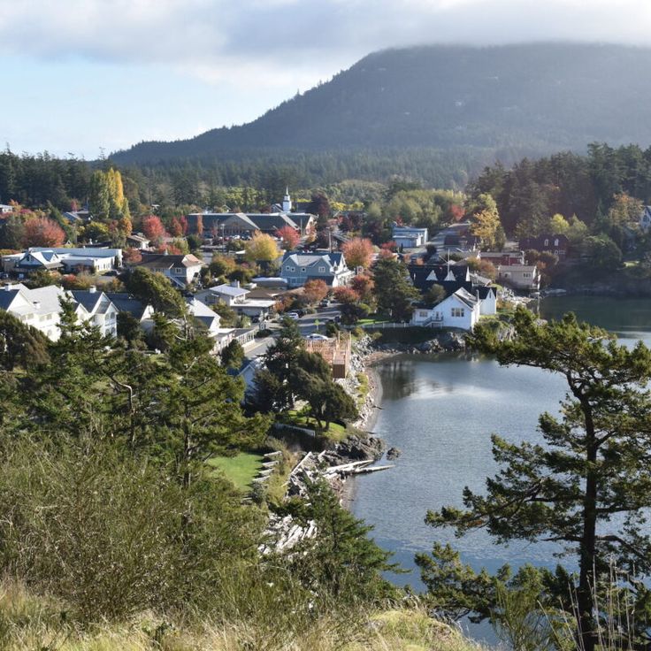 a small town sits on the edge of a body of water surrounded by trees and mountains