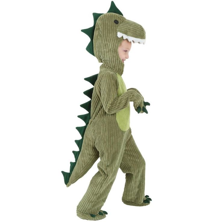 a little boy dressed in a dinosaur costume