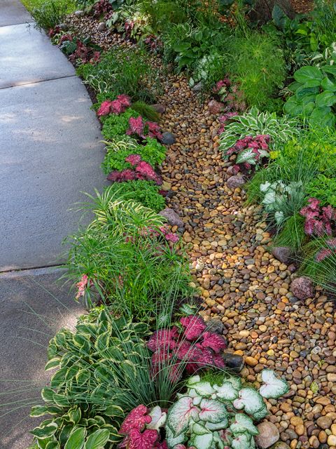 an assortment of plants and rocks in a flower bed on the side of a road