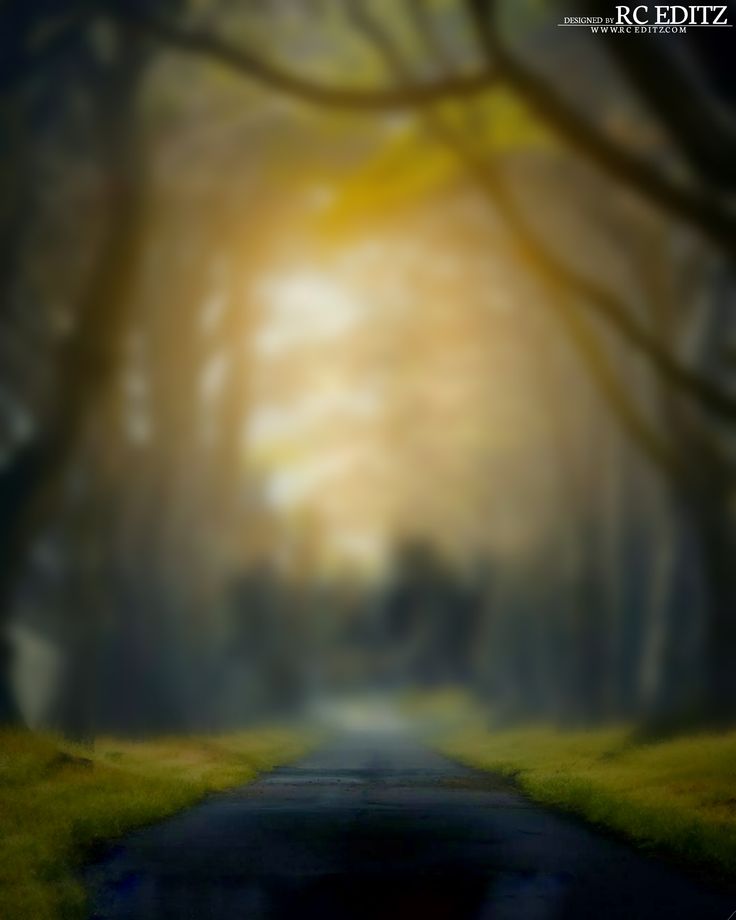 an empty road in the middle of a forest with trees and grass on both sides