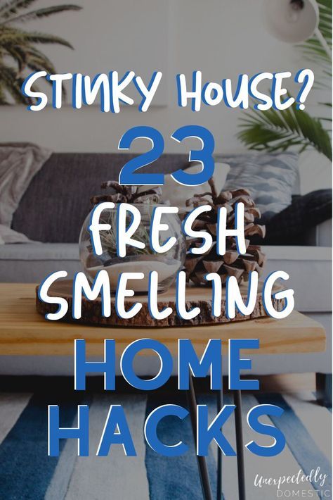 a living room with text overlay that reads, stinky house 23 fresh smelling home hacks