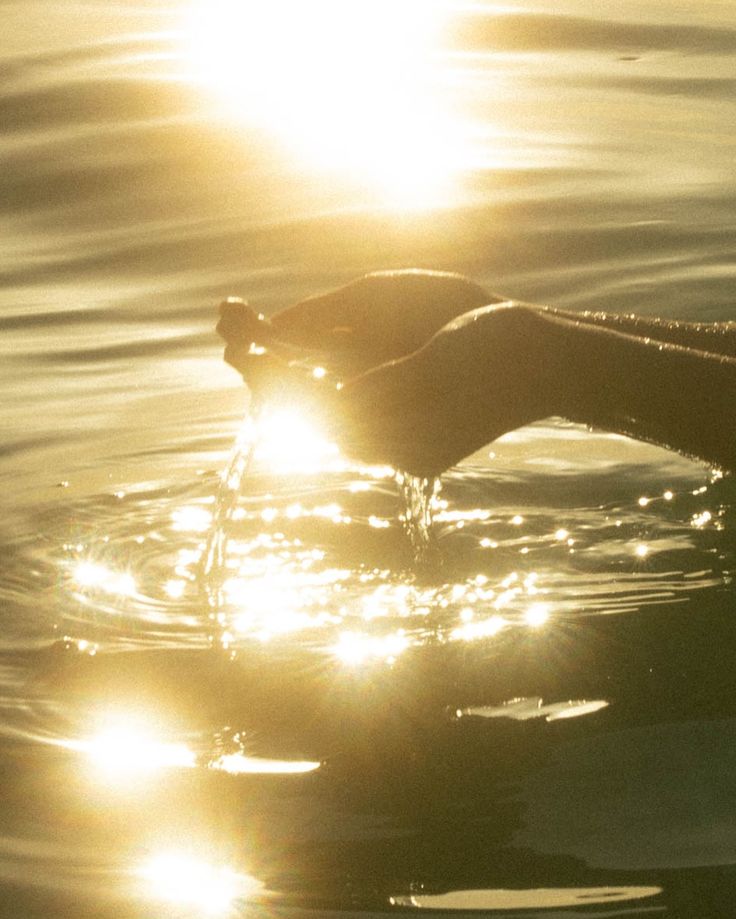 a person's hand reaching for something in the water with sun shining behind them