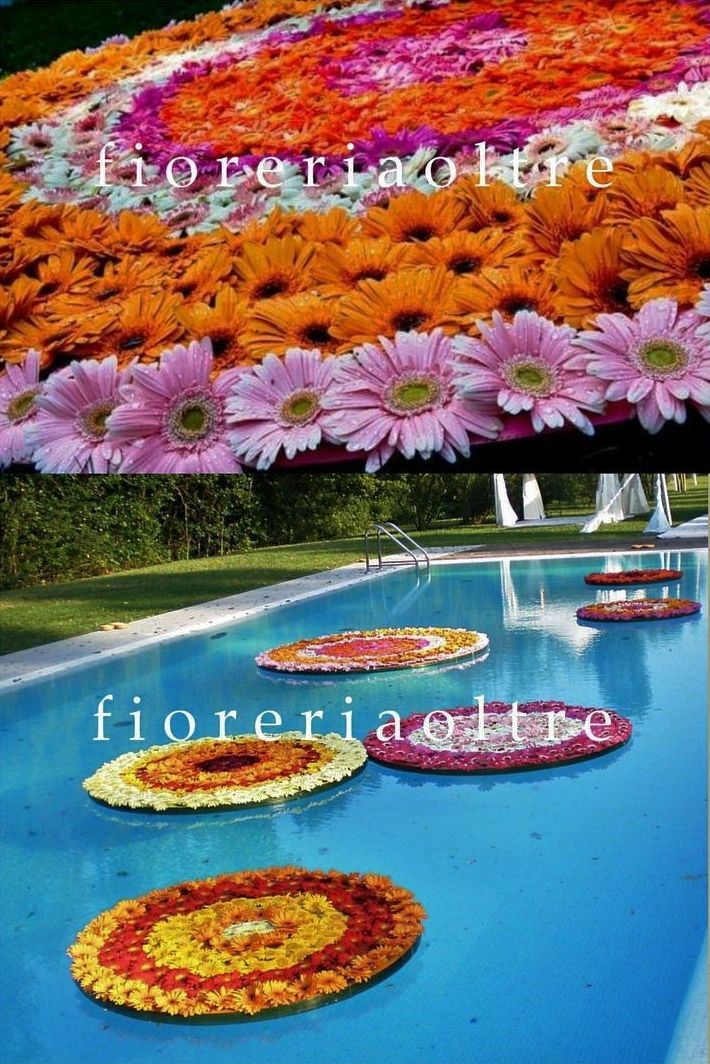 there are many different flowers on the side of this pool that is decorated with water