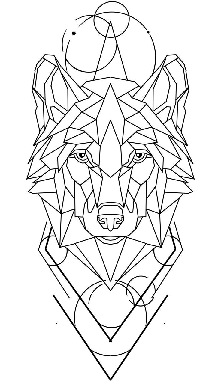 a geometric drawing of a wolf's head