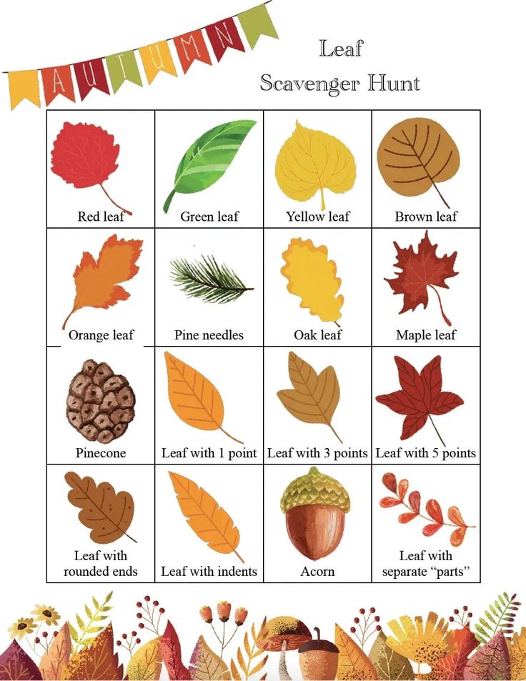 an autumn leaf scavenger hunt