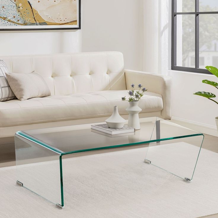 a living room with a couch, coffee table and potted plant