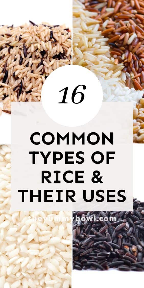 different types of rice and their uses in the food industry with text overlay that reads, 16 common types of rice & their uses