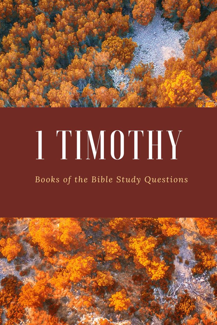 an aerial view of trees with the title i timoty books of the bible study questions