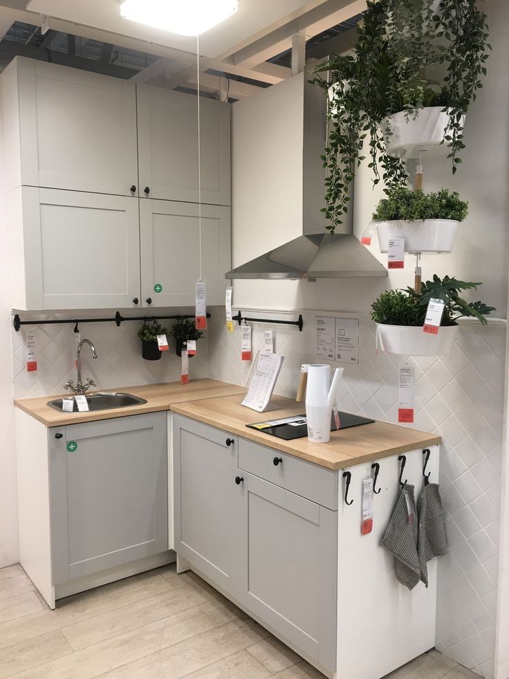 the kitchen is clean and ready to be used as a place for potted plants