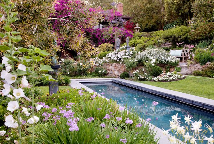 a pool surrounded by flowers and greenery