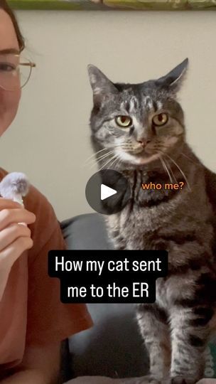 a woman sitting on a couch with a cat in her lap and the caption says how my cat sent me to the er