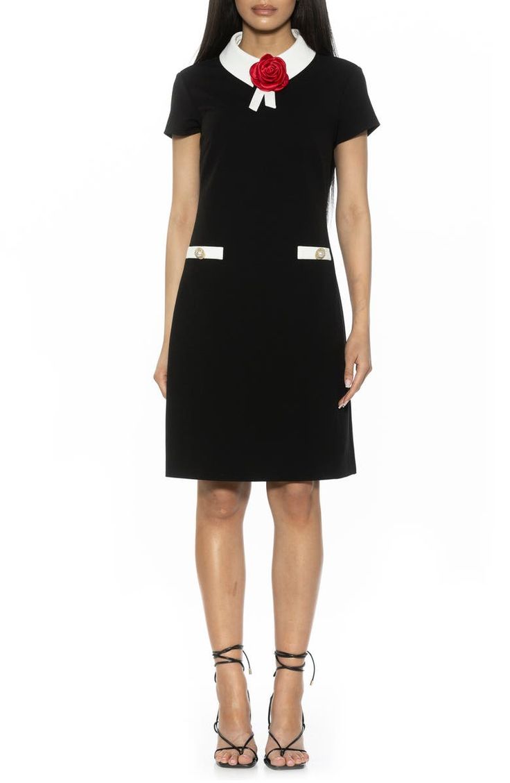 Alexia Admor Sandra Rosette Detail Collared Dress | Nordstromrack Collared Dress, Daytime Dresses, Professional Attire, Work Dress, Collar Dress, Black Fits, Sundress, Nordstrom Rack, Dresses For Work