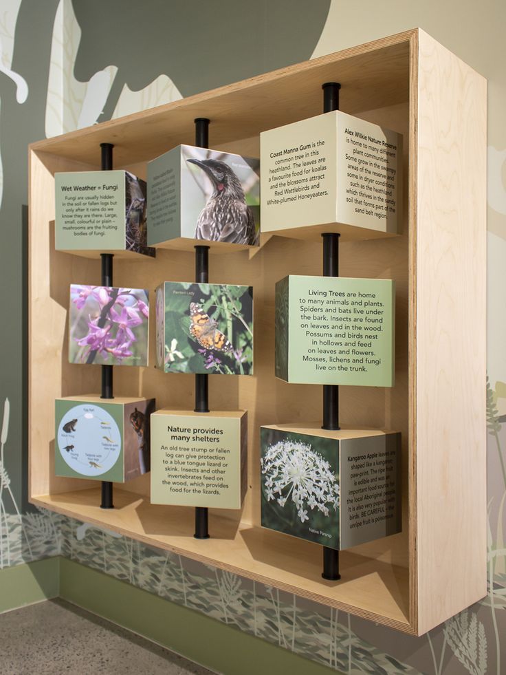 a display case with several different types of cards on it in front of a wall