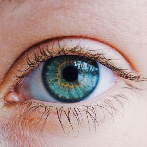 an eye with blue and yellow iris looking at the camera