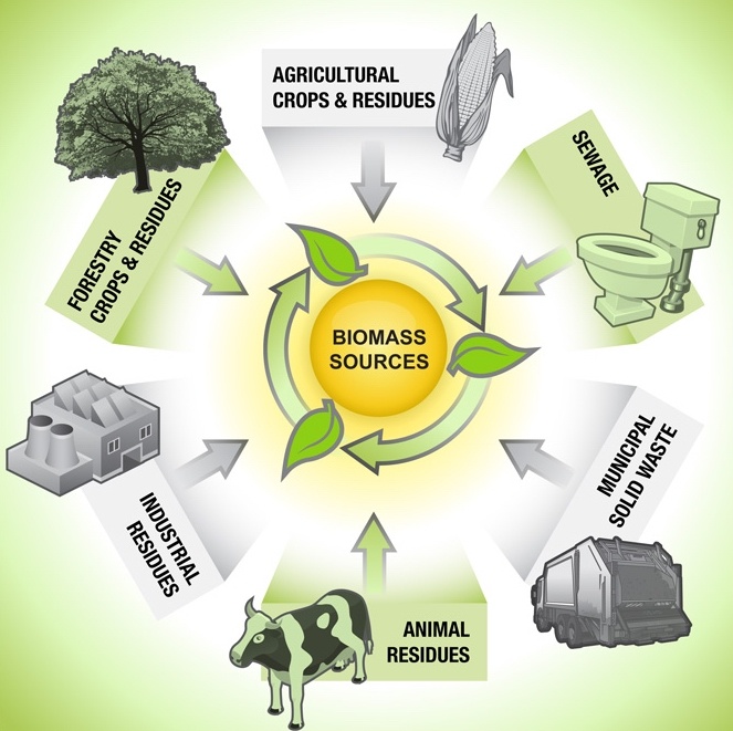 the diagram shows how animals and other things are used to help them in their environment