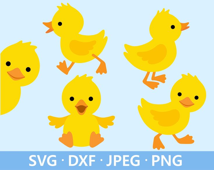 four yellow ducks with different poses and expressions