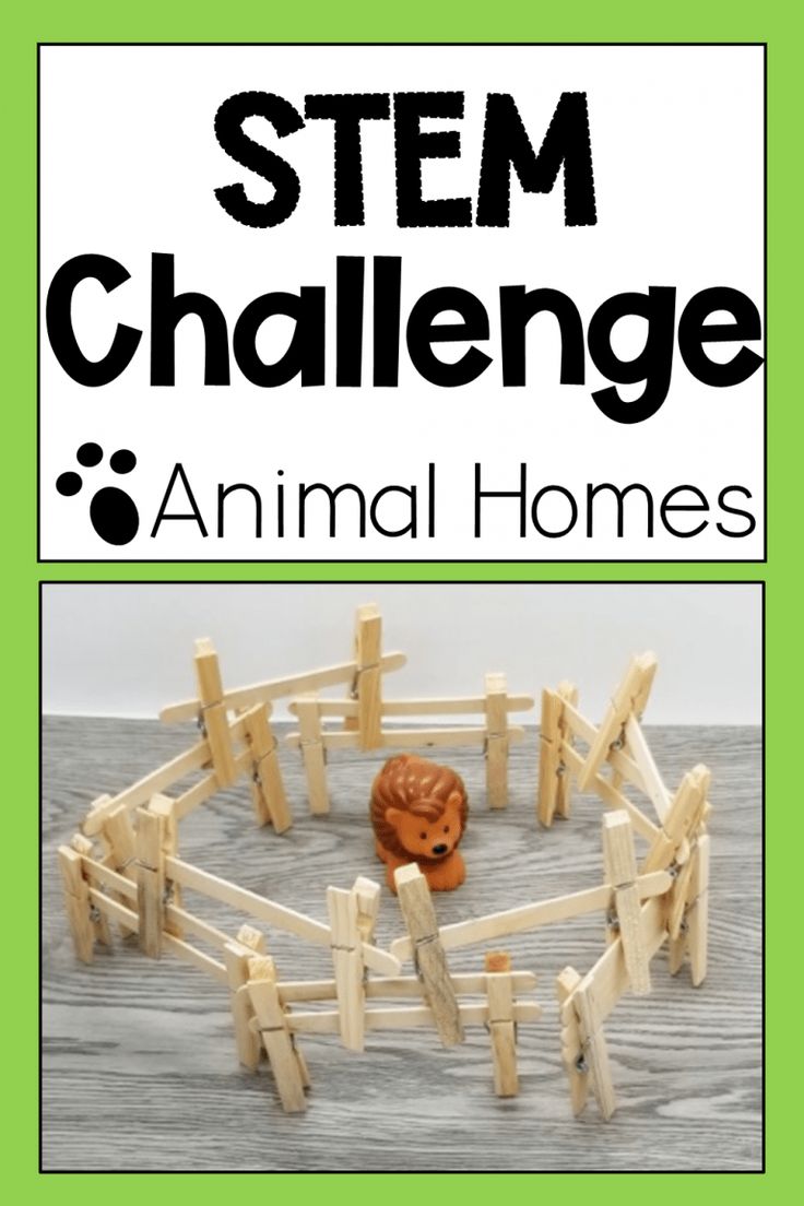 Animal STEM for Kids in Kindergarten and Primary - Building Challenges For Kids, Twos Activities, Farm Week, Challenges For Kids, Animal Homes, Elementary Stem, Farm Animals Activities, Stem Building, Stem Activities Preschool