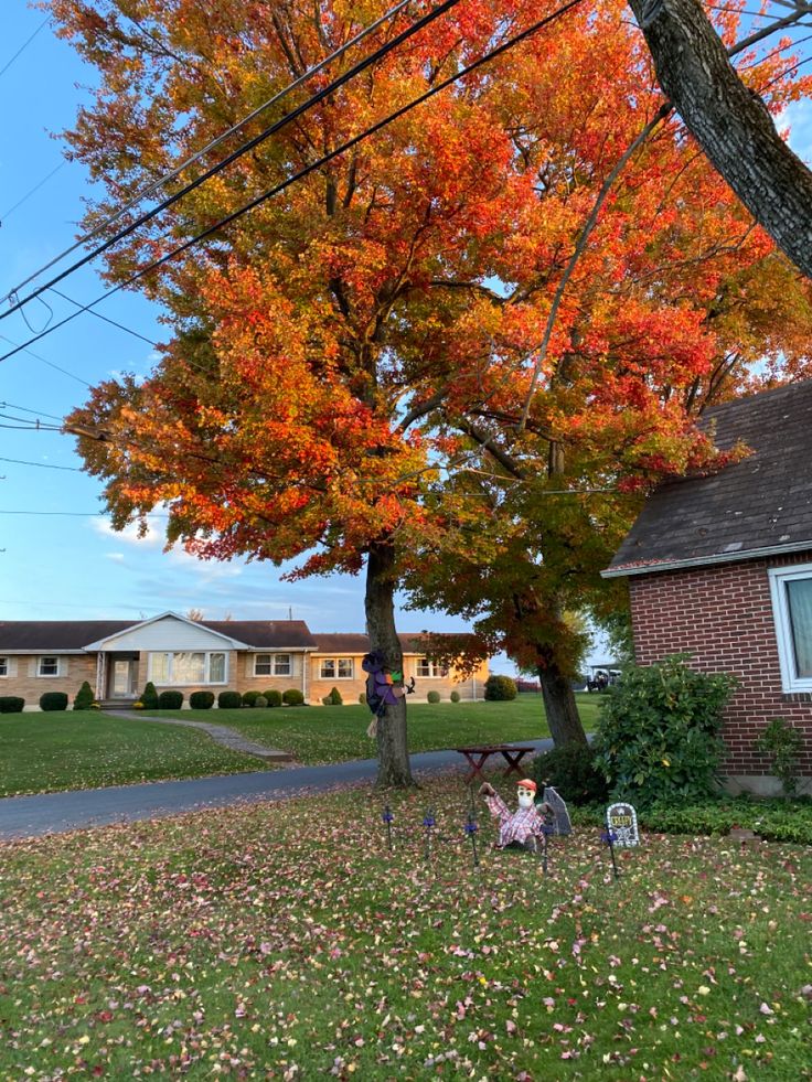 two children sitting under a tree in front of a house with autumn leaves on the ground