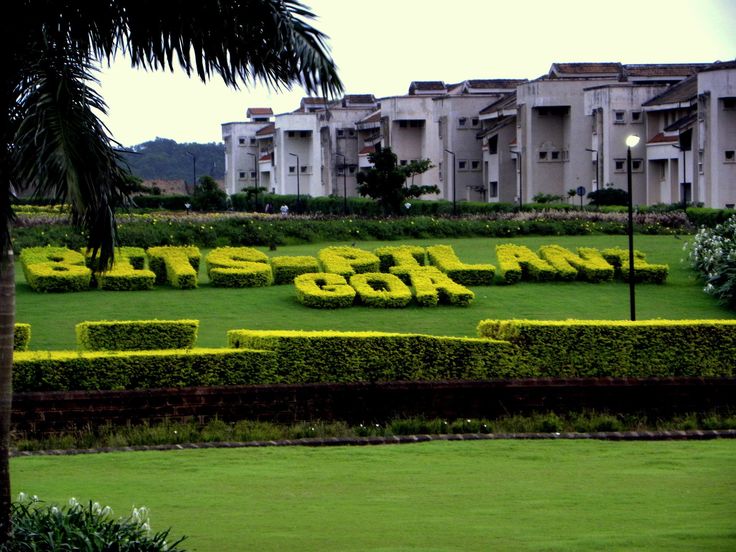 the letters are made out of hedges in front of apartment buildings and palm trees on a grassy lawn