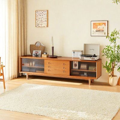 a living room with a rug, television and plants