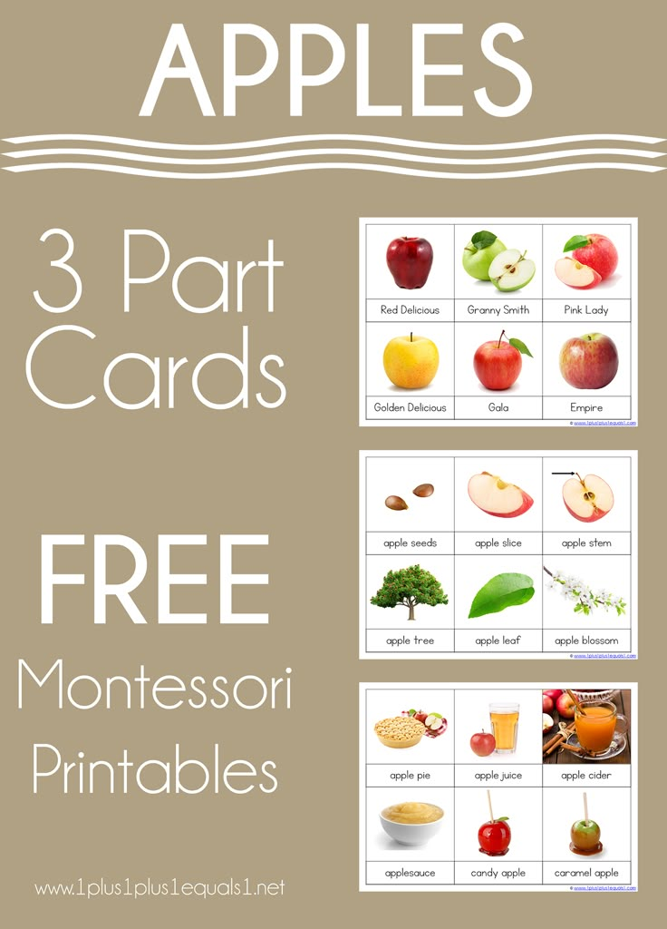 the three parts of apples cards are shown