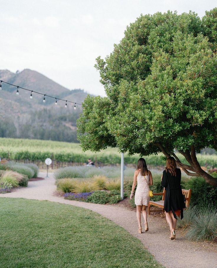 two women walking down a path under a tree in the middle of a vineyard area