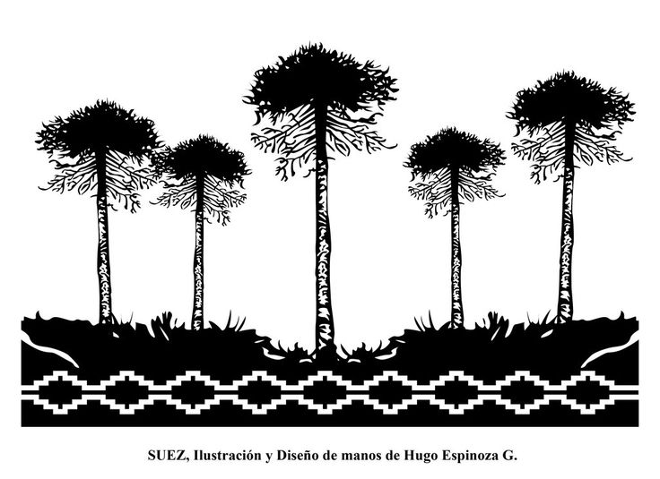 the silhouettes of three trees in front of a white background with black and white text