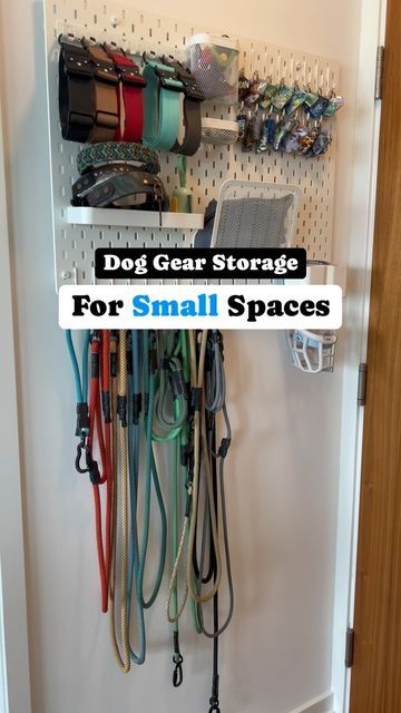 dog gear storage for small spaces on the wall with hooks and leashes hanging from it