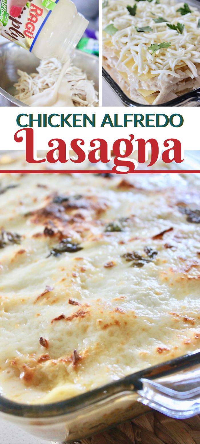 chicken alfredo lasagna in a casserole dish