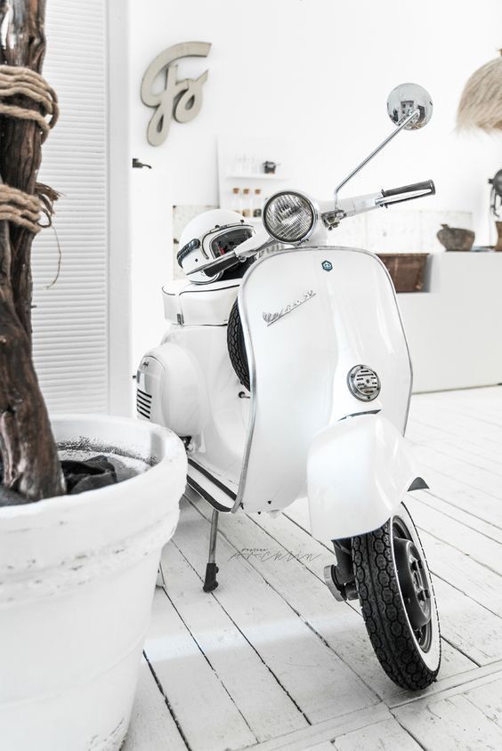 a white scooter is parked next to a potted plant in a room