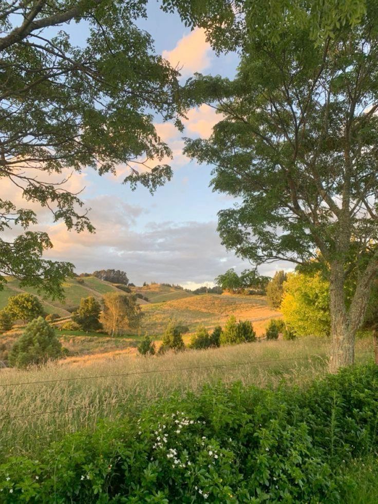 an open field with trees and grass in the foreground