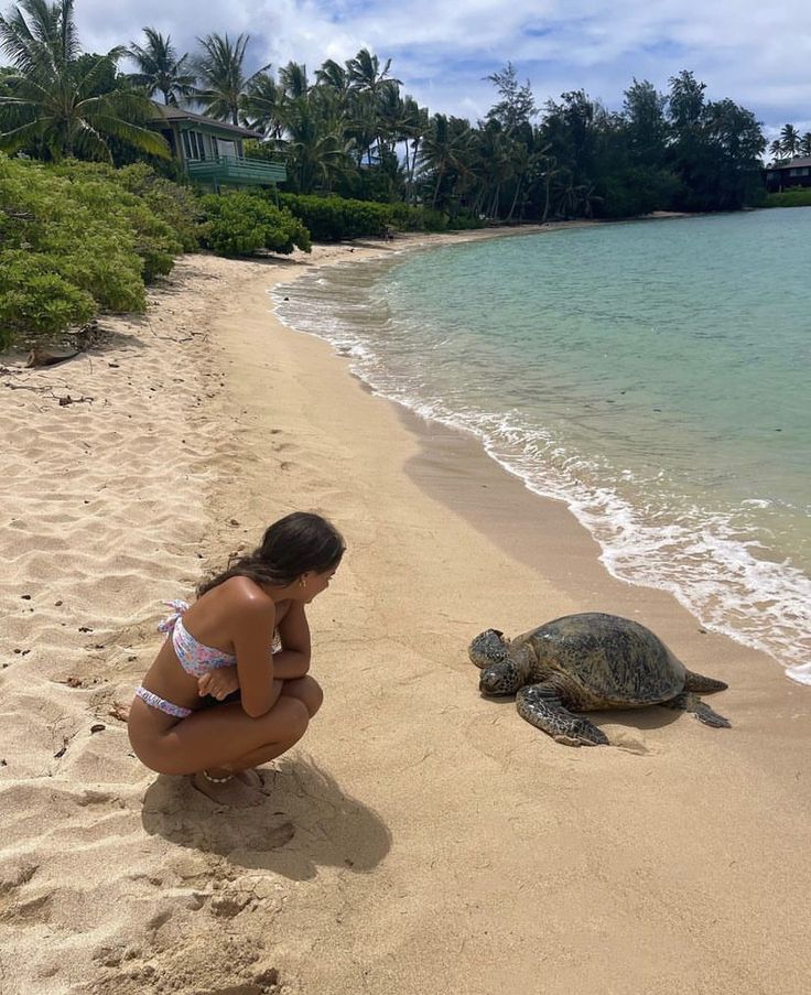 a woman kneeling down next to a turtle on top of a sandy beach near the ocean