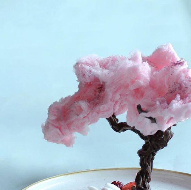 a pink cotton candy tree on a white plate