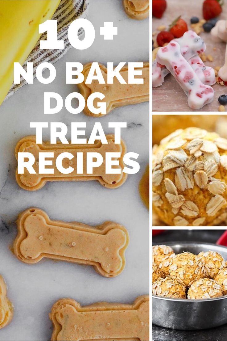 10 Homemade No Bake Dog Treats To Make Your Pup Drool Easy Homemade Pet Treats, Diy No Bake Dog Treats, Simple Dog Treats No Bake, Dog Treat Recipes No Bake, Non Bake Dog Treats, Homemade Dog Treats Using Molds, Homemade No Bake Dog Treats, No Bake Dog Treat Recipes, Dog Safe Desserts