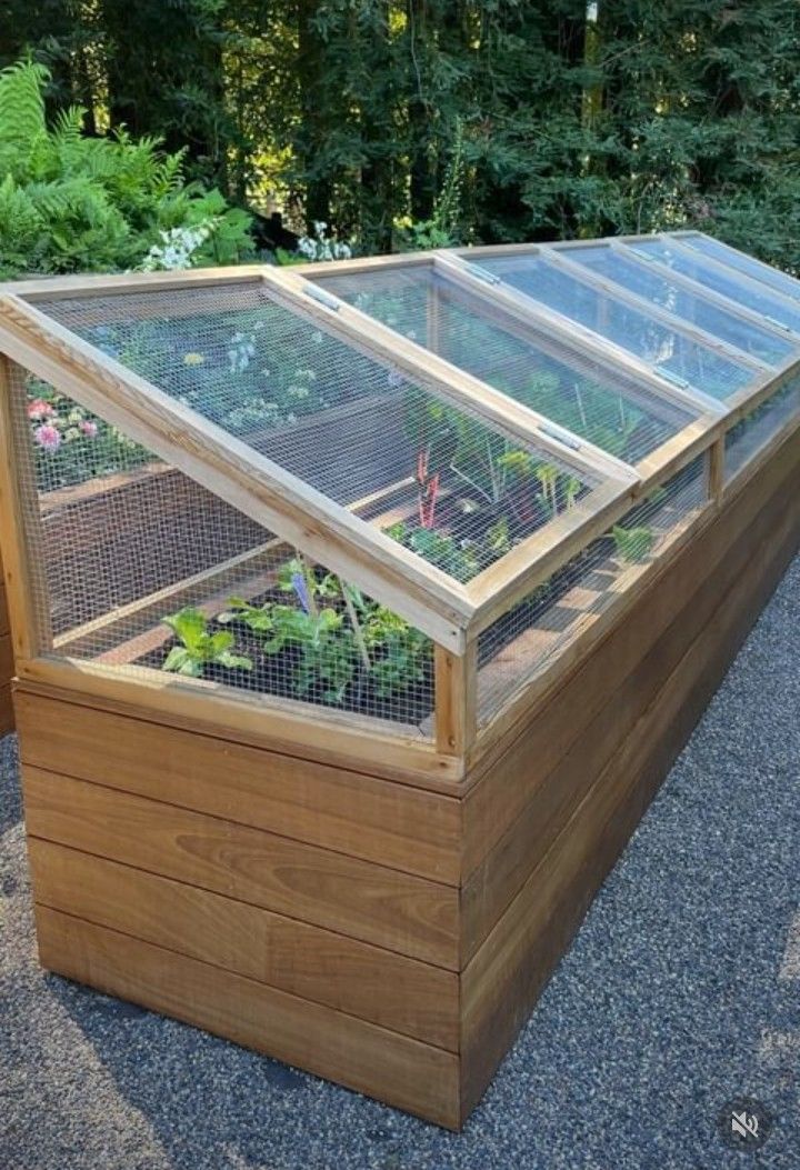 a wooden box with plants growing inside it