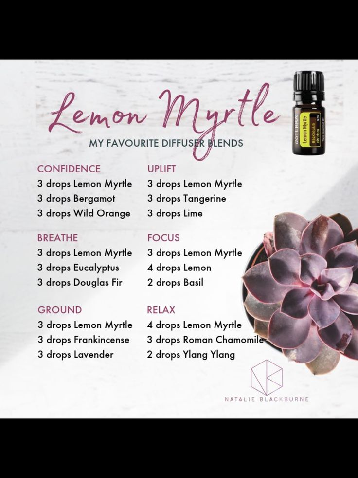 Lemon Myrtle Juniper Diffuser Blends, Juniper Berry Diffuser Blend, Juniper Berry Essential Oil Blends, Juniper Berry Recipes, Myrtle Essential Oil, Juniper Essential Oil, Eo Blends, Juniper Berry Essential Oil, Night Terrors