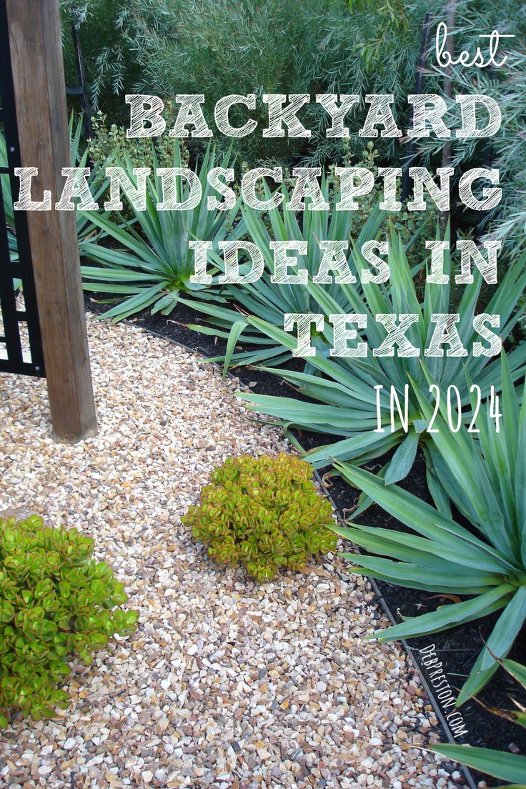 backyard landscaping in texas with text overlaying the image and an image of plants