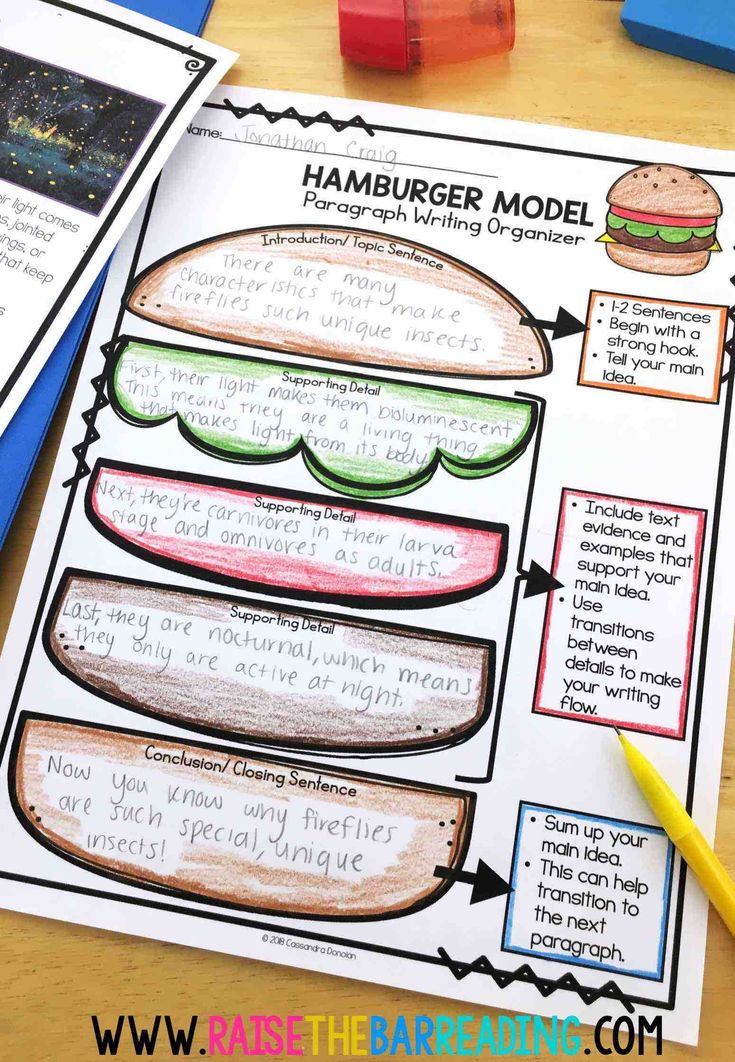 a hamburger model worksheet with colored pencils