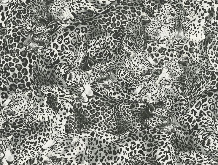 Leopardo Incognito Wallpaper in Alessandra Leopard Print Wallpaper, Wallpaper Textured, Embossed Wallpaper, Strong Personality, 1% Wallpaper, The Leopard, Dolce E Gabbana, Burke Decor, Print Wallpaper