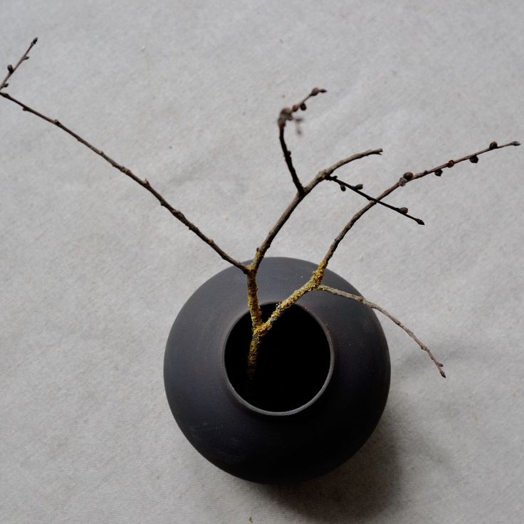 a black vase with some branches in it