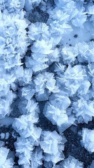 an image of ice crystals on the ground