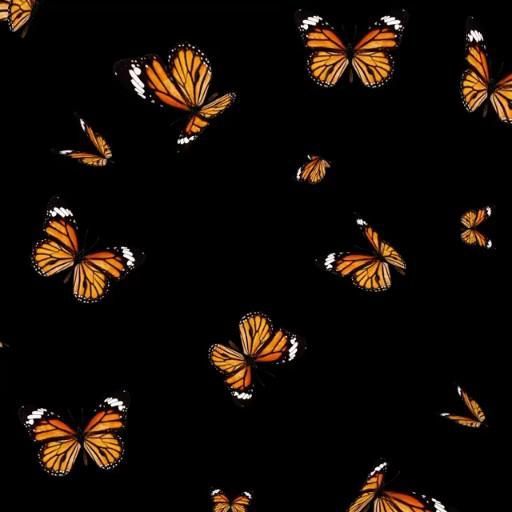 many orange butterflies are flying in the dark sky, and there is no image to describe