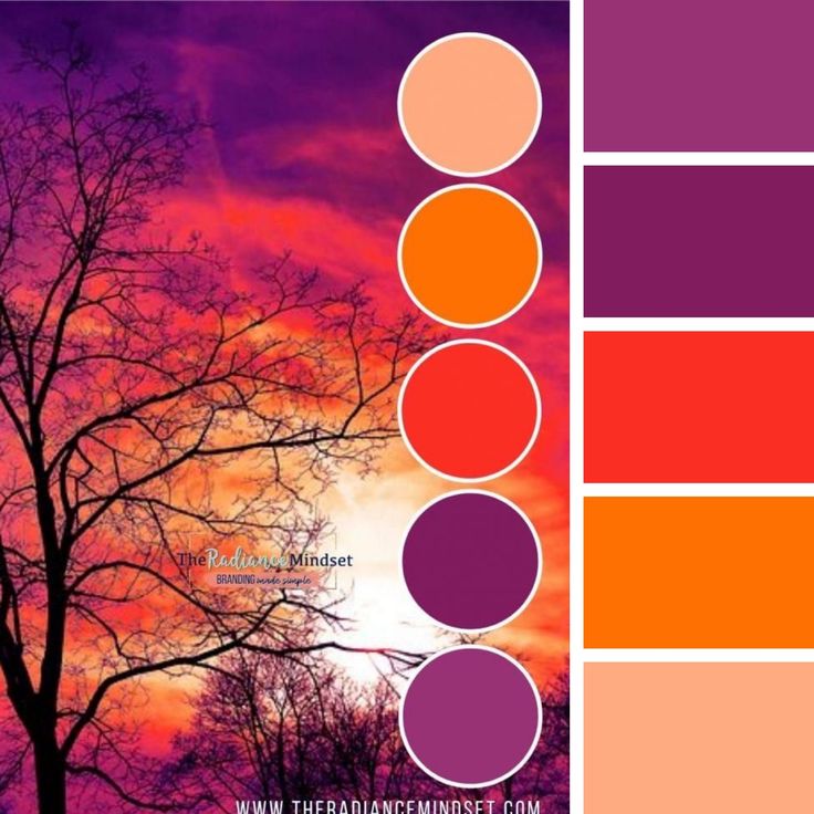 the color palette is an orange, pink and purple hue with trees in the background