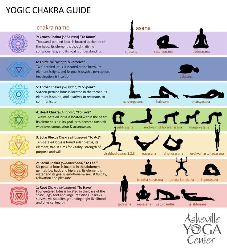 You'll see in our Yoga Chakra Guide that these 7 main energy centers store all of our life experiences and future potential. Chakra Guide, Vishuddha Chakra, Manipura Chakra, Studera Motivation, Yoga Ashtanga, Chakra Health, Balance Yoga, Ashtanga Vinyasa Yoga, Yoga Chakra