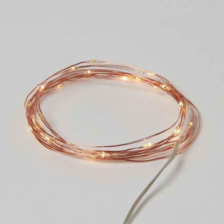 the copper wire with white lights is shown