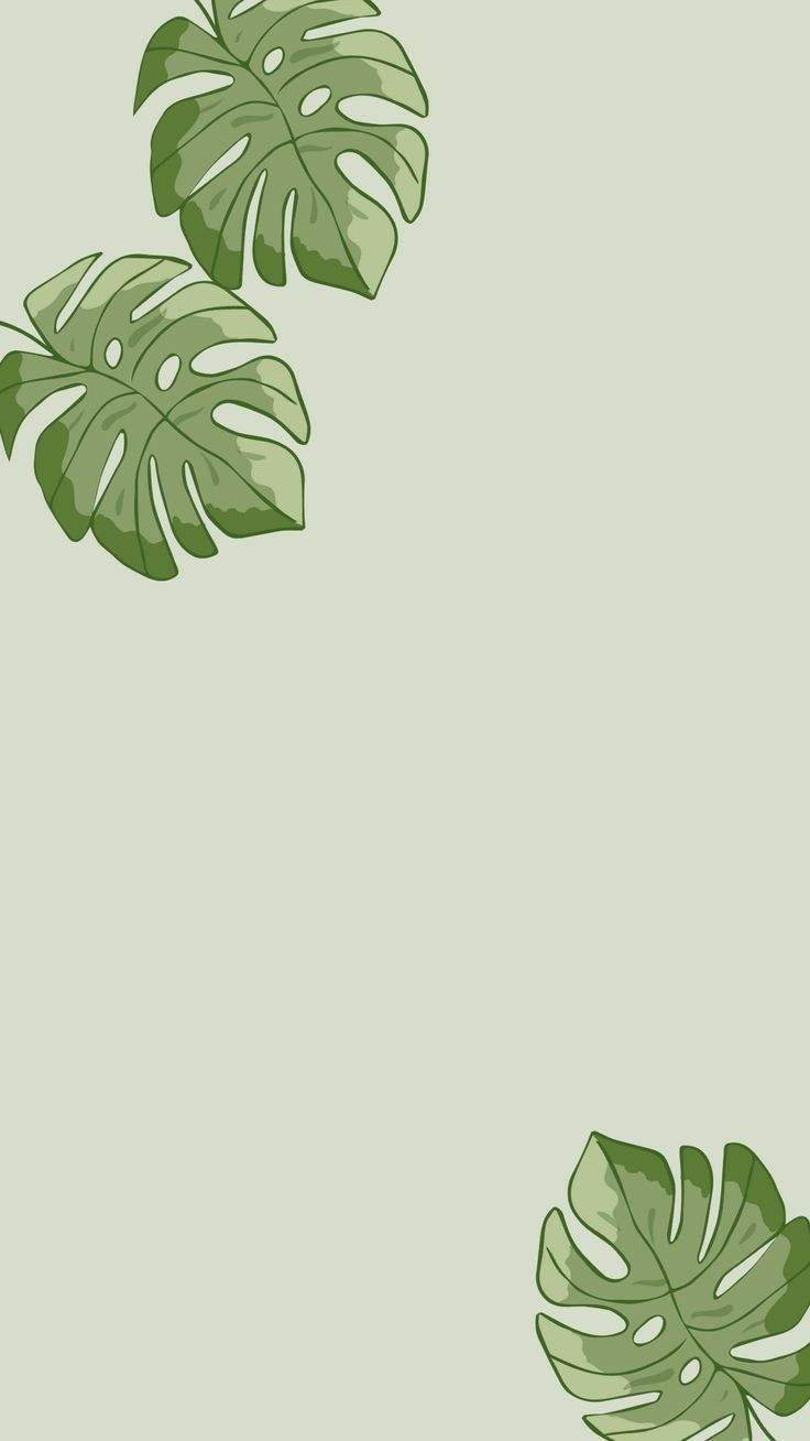 a green and white background with monster leaves