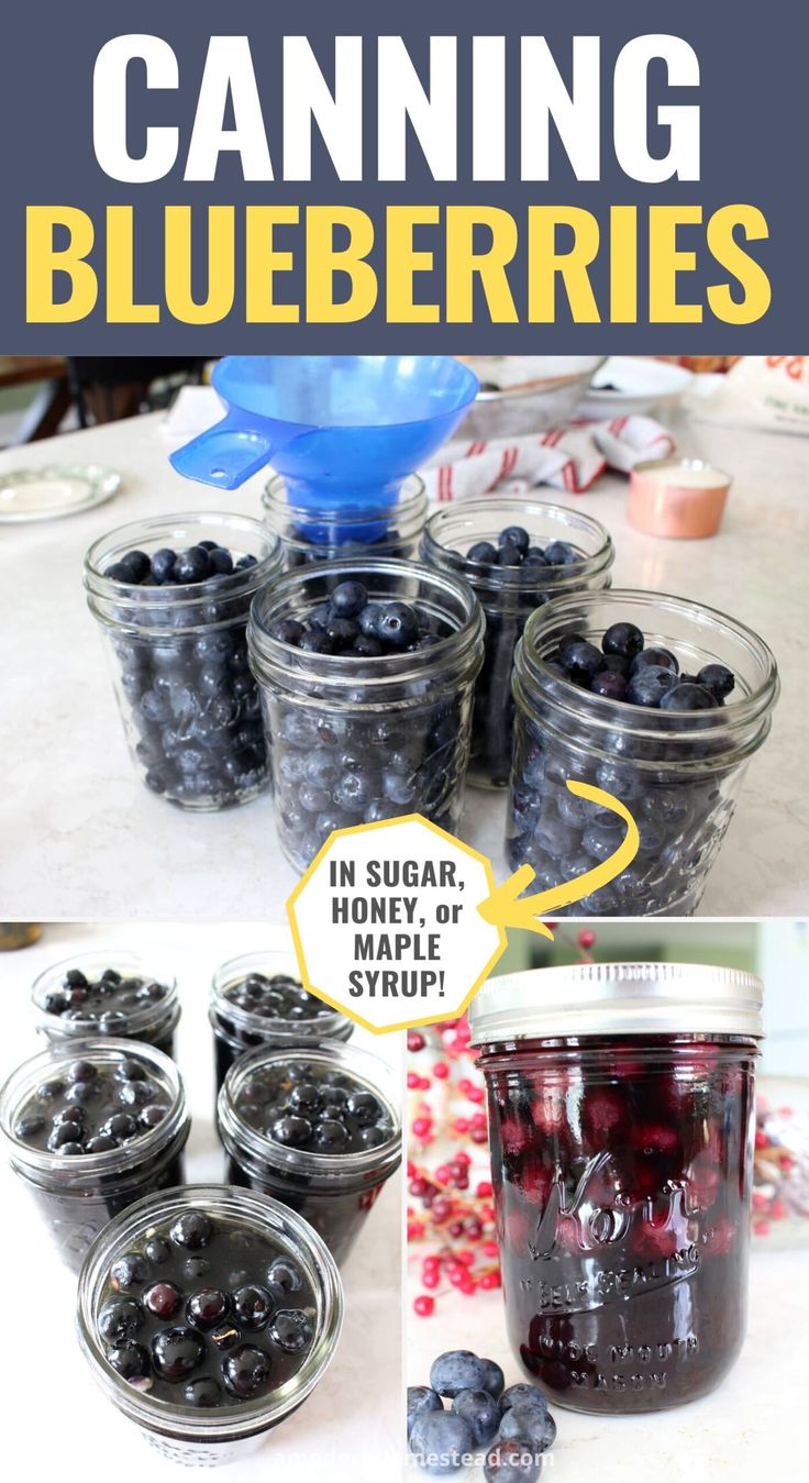 blueberries in jars with text overlay that says canning blueberries